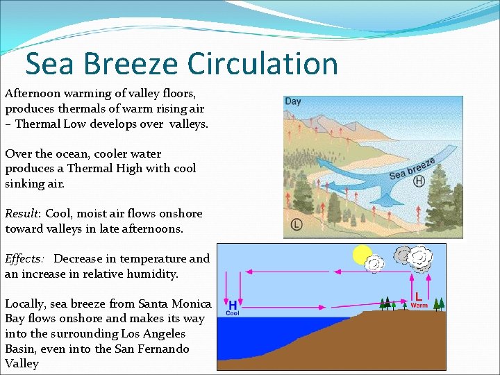 Sea Breeze Circulation Afternoon warming of valley floors, produces thermals of warm rising air