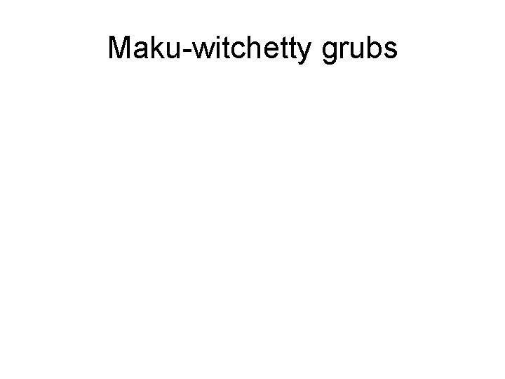 Maku-witchetty grubs 