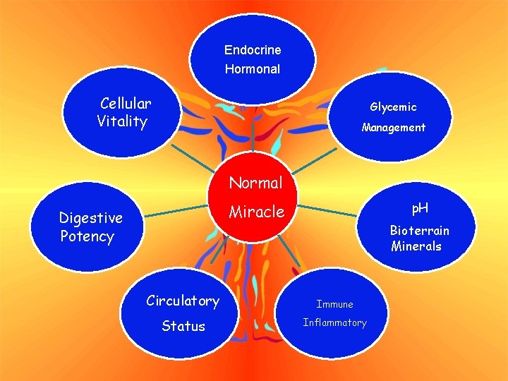Endocrine Hormonal Cellular Vitality Glycemic Management Normal p. H Miracle Digestive Potency Bioterrain Minerals