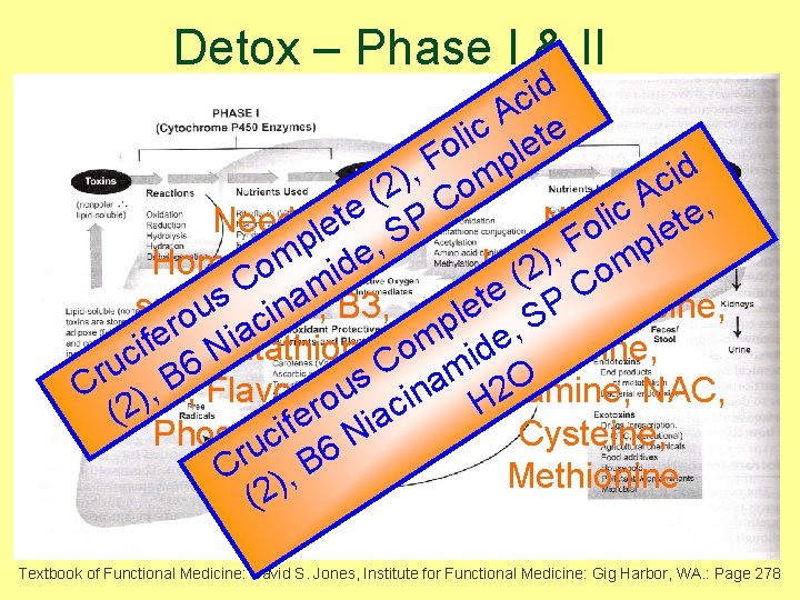 Detox – Phase I & II id c A e c i t l