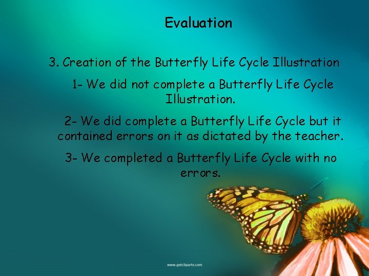 Evaluation 3. Creation of the Butterfly Life Cycle Illustration 1 - We did not