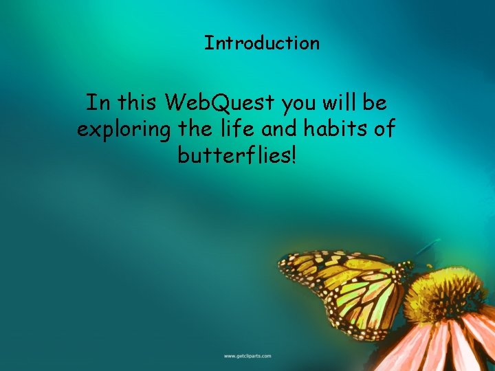 Introduction In this Web. Quest you will be exploring the life and habits of