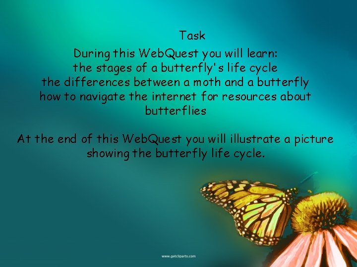 Task During this Web. Quest you will learn: the stages of a butterfly's life