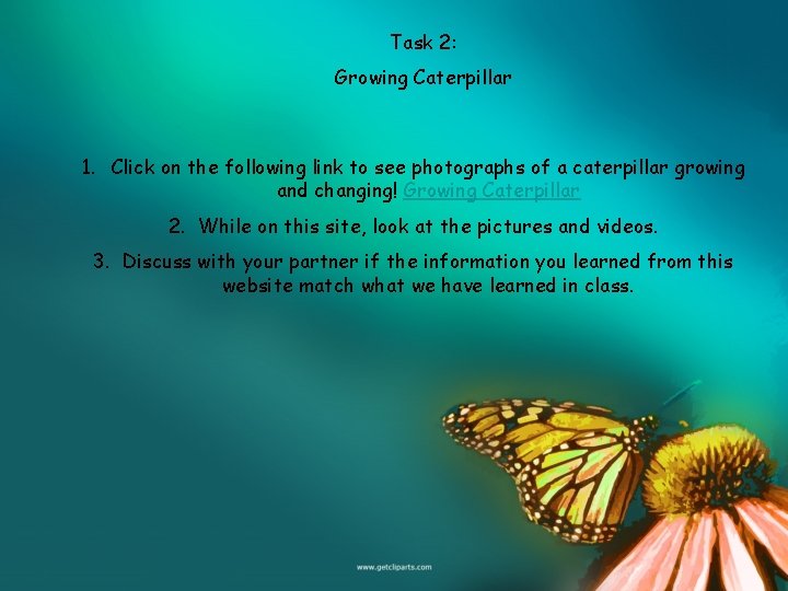 Task 2: Growing Caterpillar 1. Click on the following link to see photographs of