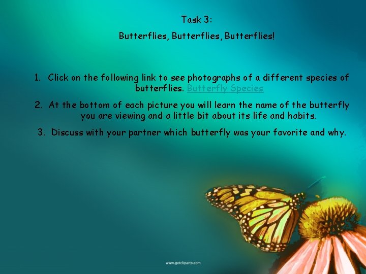 Task 3: Butterflies, Butterflies! 1. Click on the following link to see photographs of