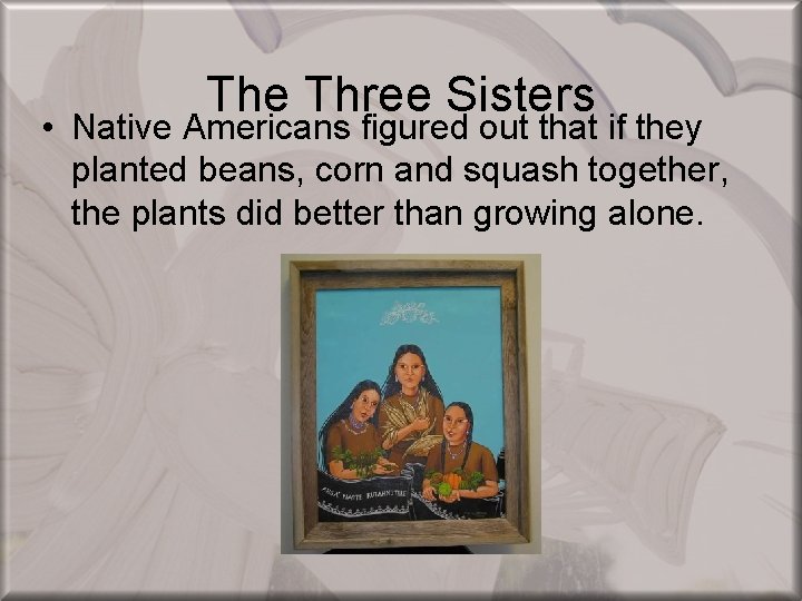 The Three Sisters • Native Americans figured out that if they planted beans, corn