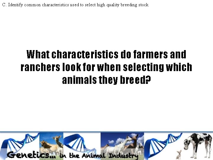 C. Identify common characteristics used to select high quality breeding stock What characteristics do