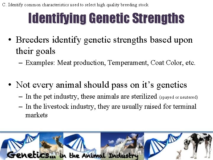 C. Identify common characteristics used to select high quality breeding stock Identifying Genetic Strengths