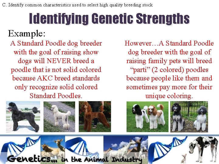 C. Identify common characteristics used to select high quality breeding stock Identifying Genetic Strengths