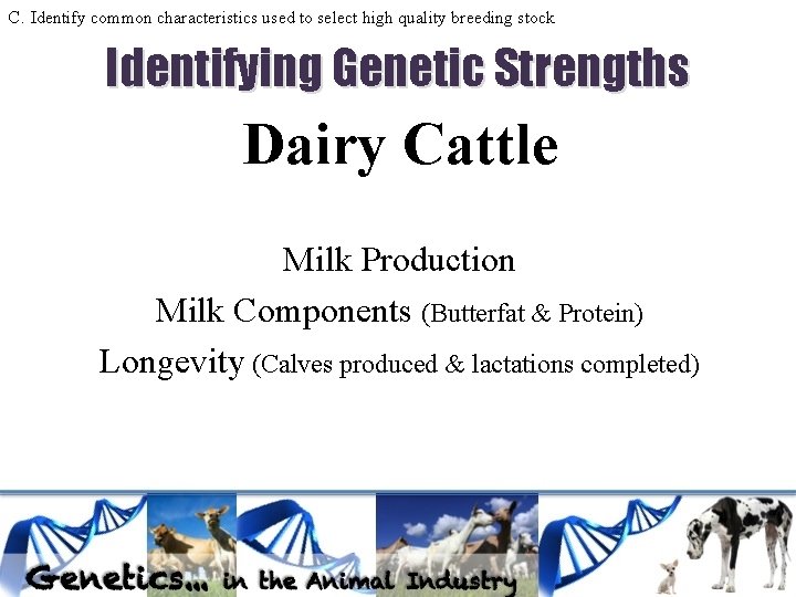 C. Identify common characteristics used to select high quality breeding stock Identifying Genetic Strengths C. Identify common characteristics used to select high quality breeding stock Identifying Genetic Strengths