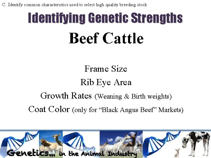 C. Identify common characteristics used to select high quality breeding stock Identifying Genetic Strengths C. Identify common characteristics used to select high quality breeding stock Identifying Genetic Strengths