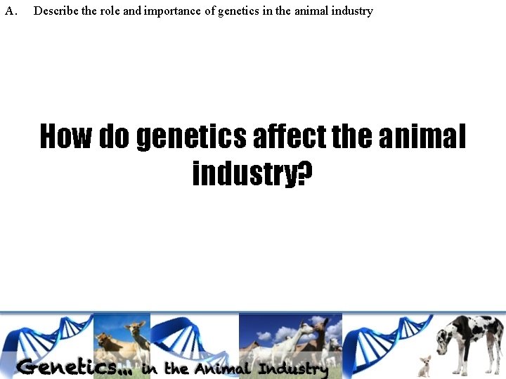 A. Describe the role and importance of genetics in the animal industry How do A. Describe the role and importance of genetics in the animal industry How do
