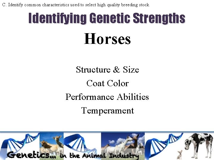 C. Identify common characteristics used to select high quality breeding stock Identifying Genetic Strengths C. Identify common characteristics used to select high quality breeding stock Identifying Genetic Strengths