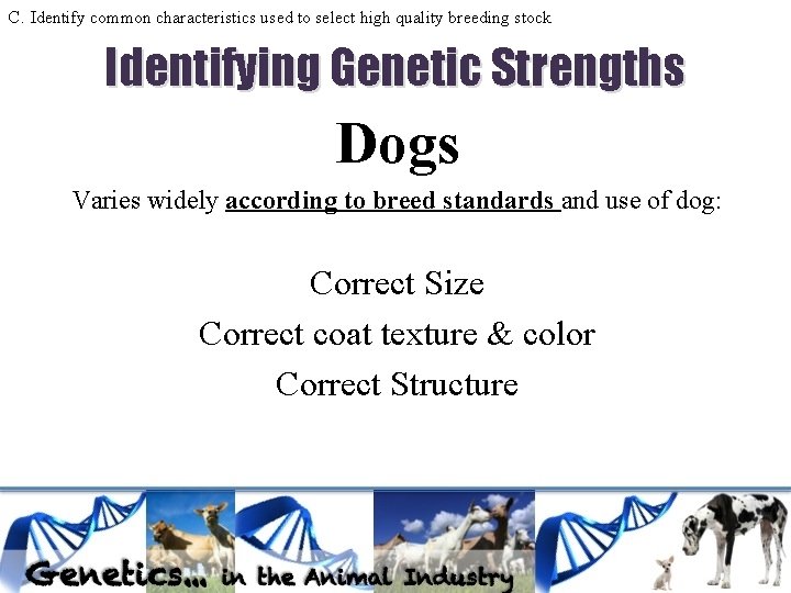C. Identify common characteristics used to select high quality breeding stock Identifying Genetic Strengths