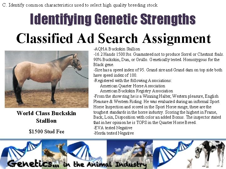 C. Identify common characteristics used to select high quality breeding stock Identifying Genetic Strengths C. Identify common characteristics used to select high quality breeding stock Identifying Genetic Strengths
