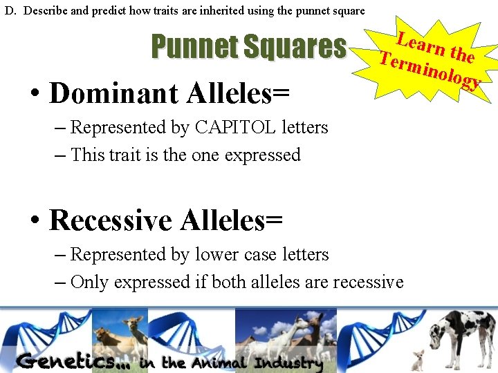 D. Describe and predict how traits are inherited using the punnet square Punnet Squares