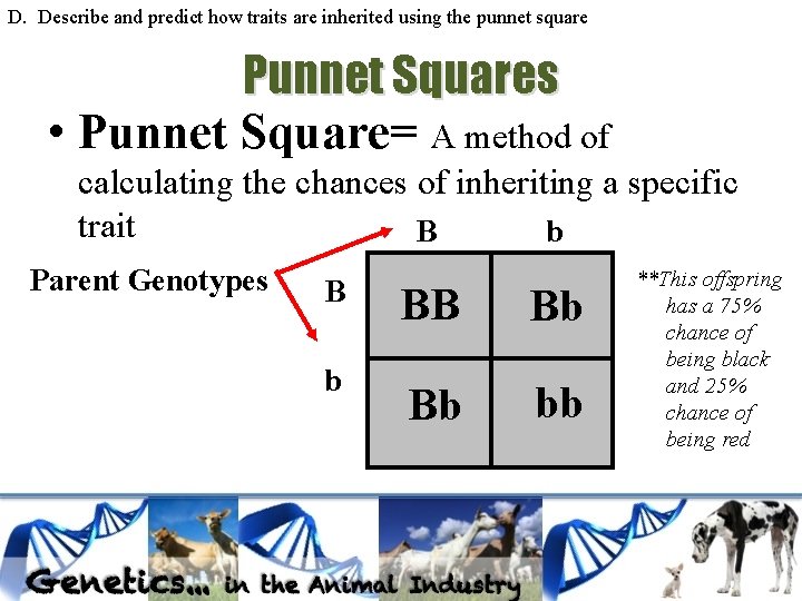 D. Describe and predict how traits are inherited using the punnet square Punnet Squares