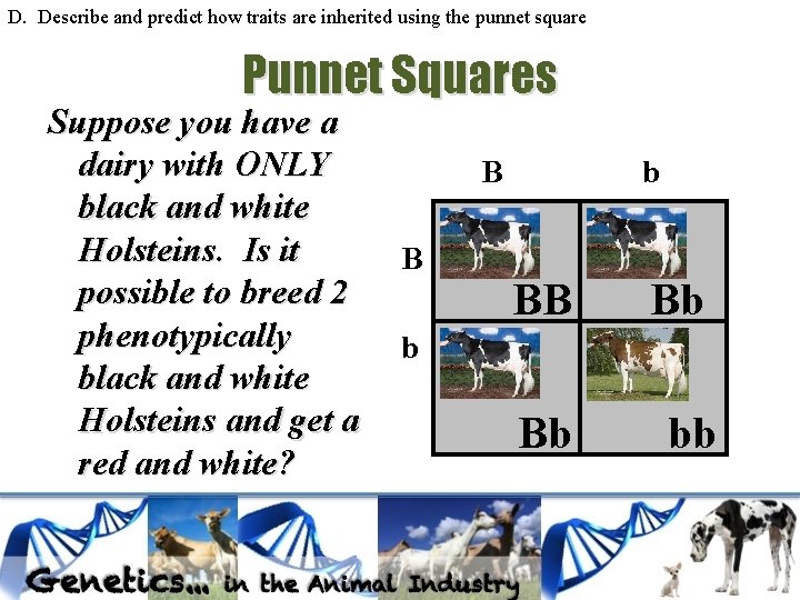 D. Describe and predict how traits are inherited using the punnet square Punnet Squares D. Describe and predict how traits are inherited using the punnet square Punnet Squares