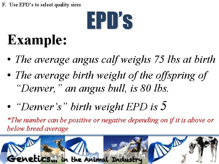 F. Use EPD’s to select quality sires Example: EPD’s • The average angus calf