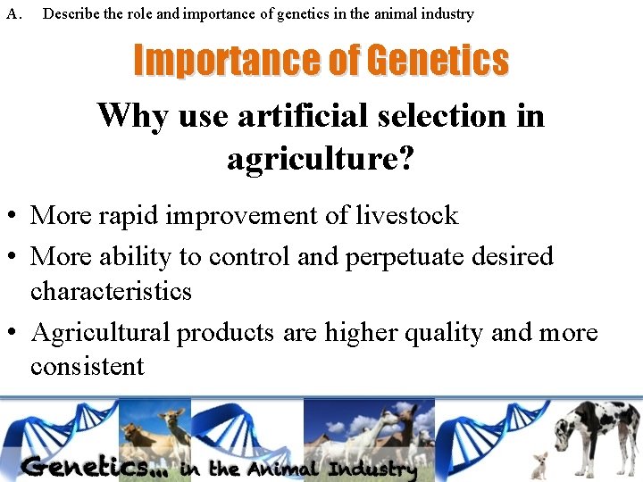 A. Describe the role and importance of genetics in the animal industry Importance of