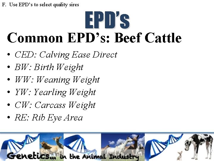 F. Use EPD’s to select quality sires EPD’s Common EPD’s: Beef Cattle • •