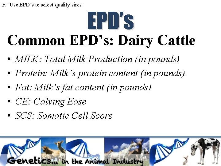 F. Use EPD’s to select quality sires EPD’s Common EPD’s: Dairy Cattle • •