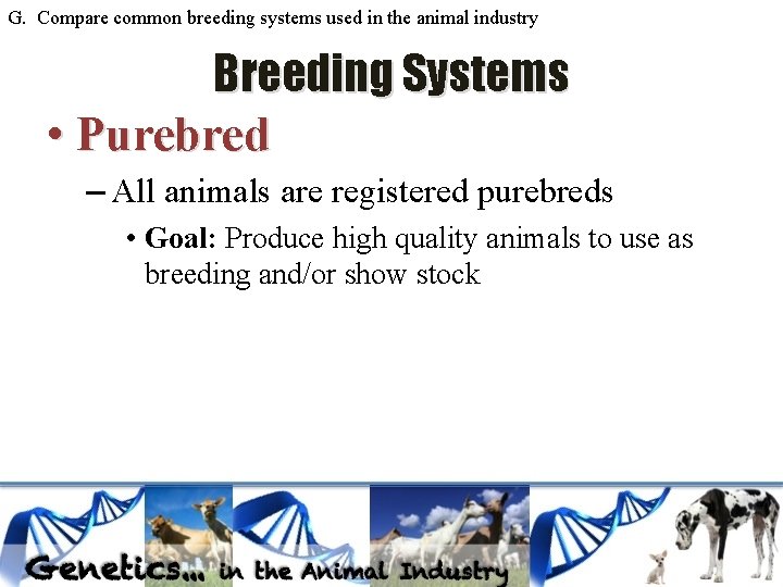 G. Compare common breeding systems used in the animal industry Breeding Systems • Purebred G. Compare common breeding systems used in the animal industry Breeding Systems • Purebred