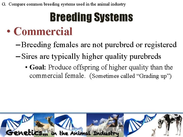 G. Compare common breeding systems used in the animal industry Breeding Systems • Commercial