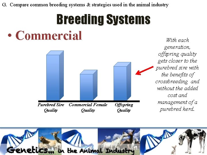 G. Compare common breeding systems & strategies used in the animal industry Breeding Systems