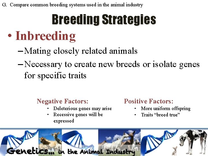 G. Compare common breeding systems used in the animal industry Breeding Strategies • Inbreeding