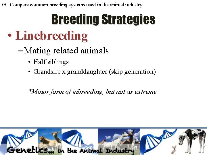 G. Compare common breeding systems used in the animal industry Breeding Strategies • Linebreeding G. Compare common breeding systems used in the animal industry Breeding Strategies • Linebreeding