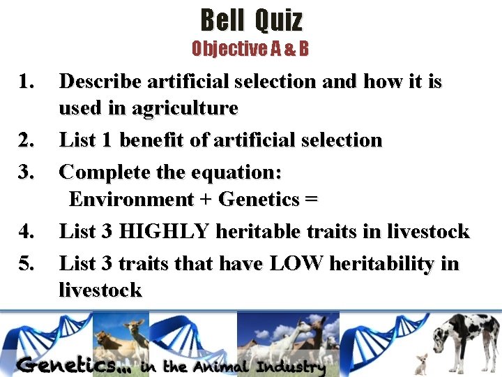 Bell Quiz Objective A & B 1. 2. 3. 4. 5. Describe artificial selection Bell Quiz Objective A & B 1. 2. 3. 4. 5. Describe artificial selection