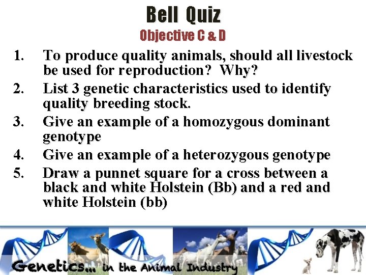 Bell Quiz Objective C & D 1. 2. 3. 4. 5. To produce quality