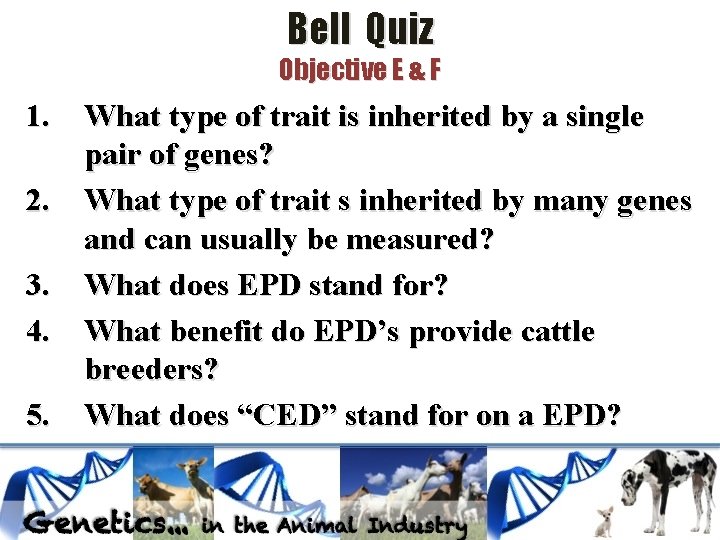 Bell Quiz Objective E & F 1. 2. 3. 4. 5. What type of