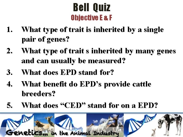 Bell Quiz Objective E & F 1. 2. 3. 4. 5. What type of Bell Quiz Objective E & F 1. 2. 3. 4. 5. What type of
