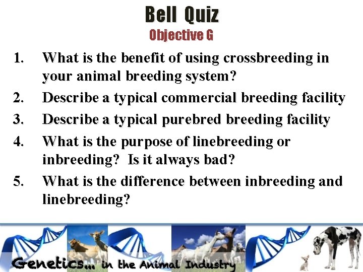 Bell Quiz Objective G 1. 2. 3. 4. 5. What is the benefit of