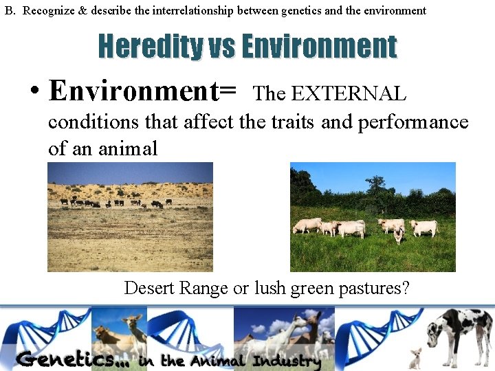 B. Recognize & describe the interrelationship between genetics and the environment Heredity vs Environment B. Recognize & describe the interrelationship between genetics and the environment Heredity vs Environment