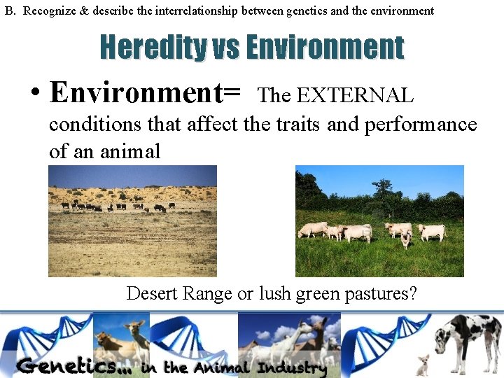 B. Recognize & describe the interrelationship between genetics and the environment Heredity vs Environment