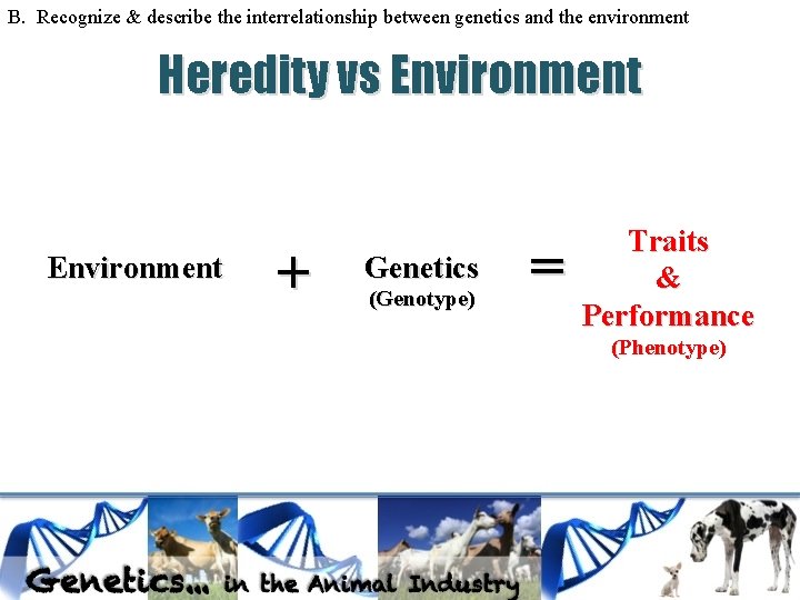 B. Recognize & describe the interrelationship between genetics and the environment Heredity vs Environment B. Recognize & describe the interrelationship between genetics and the environment Heredity vs Environment
