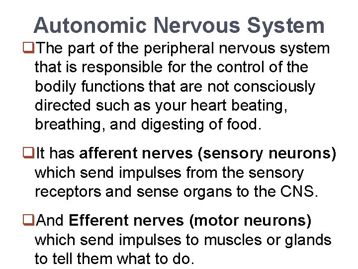 Autonomic Nervous System q. The part of the peripheral nervous system that is responsible