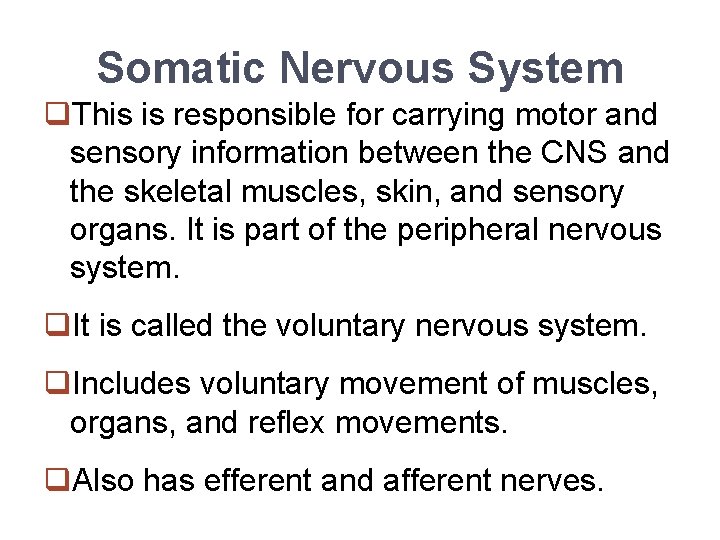 Somatic Nervous System q. This is responsible for carrying motor and sensory information between