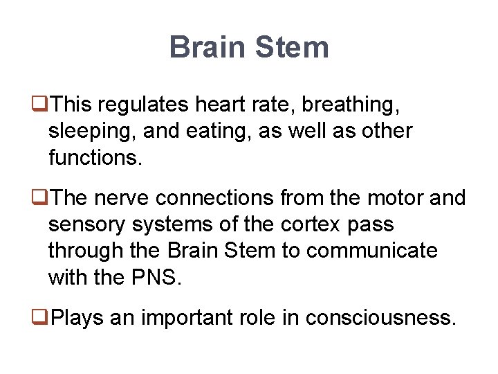 Brain Stem q. This regulates heart rate, breathing, sleeping, and eating, as well as