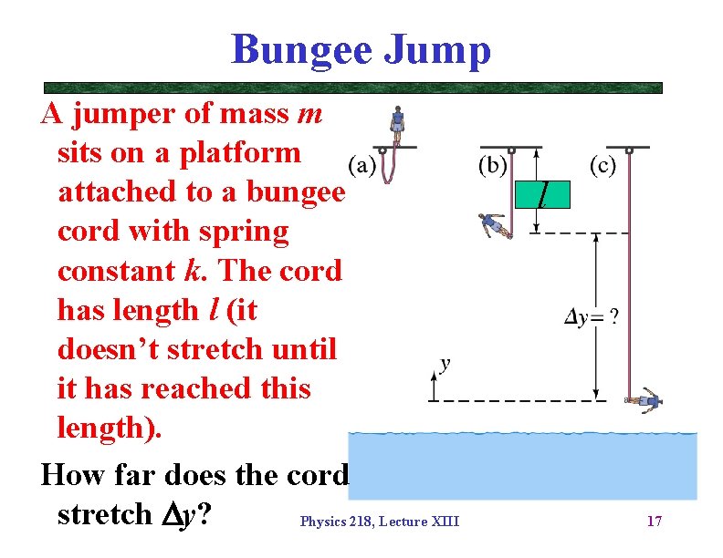 Bungee Jump A jumper of mass m sits on a platform attached to a