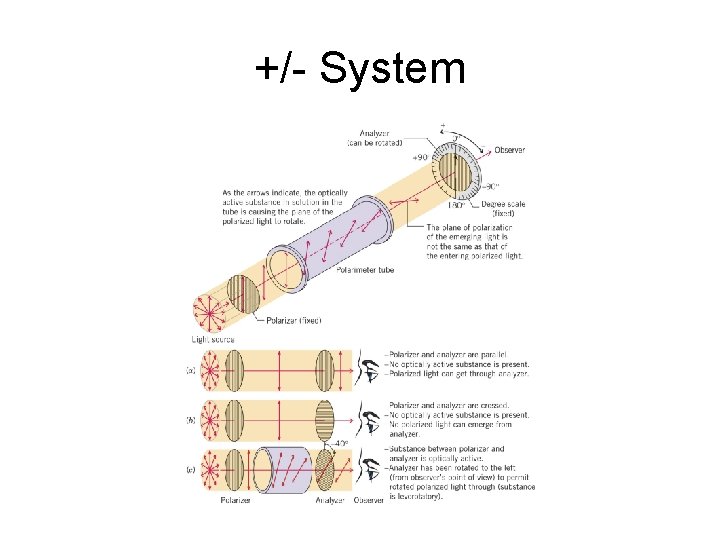 +/- System 