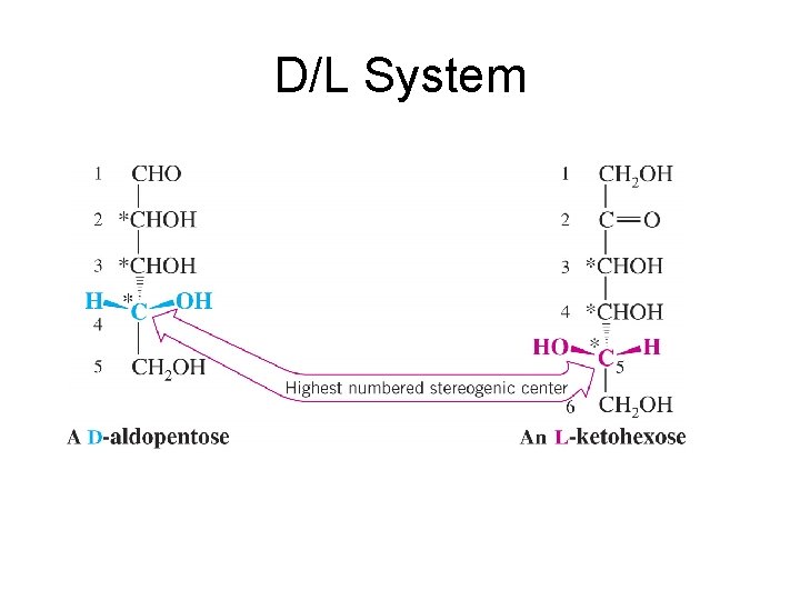 D/L System 