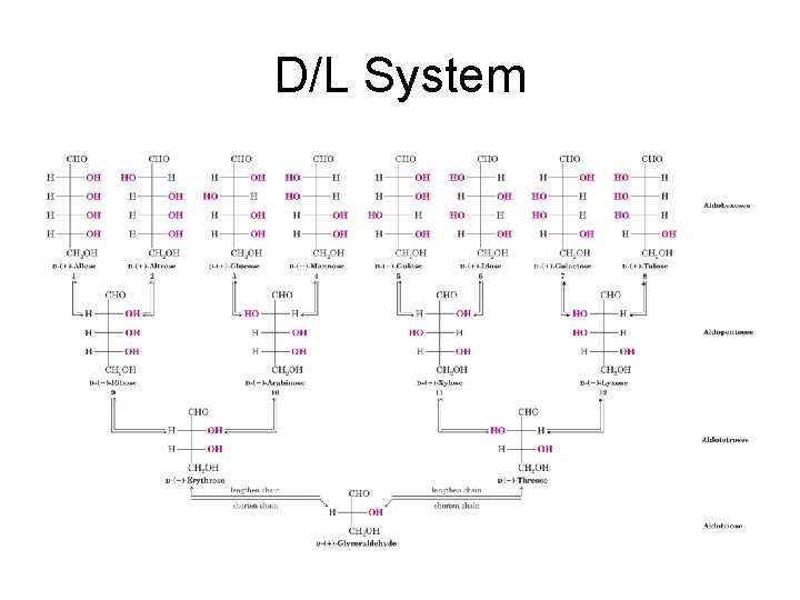 D/L System 