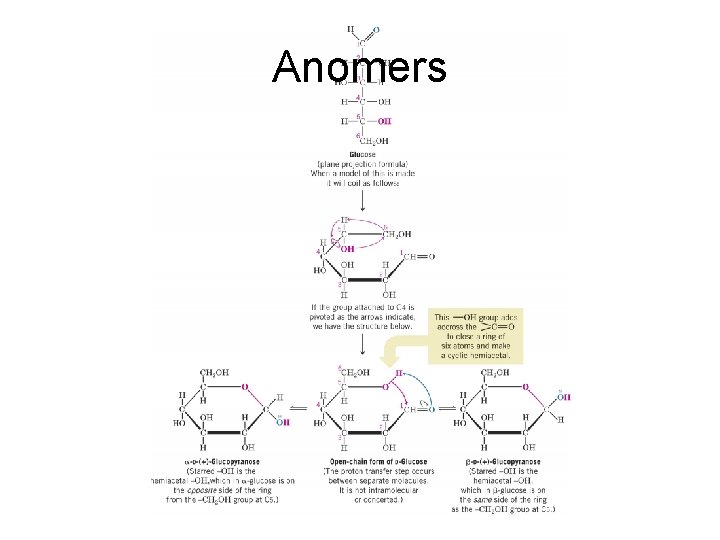 Anomers 