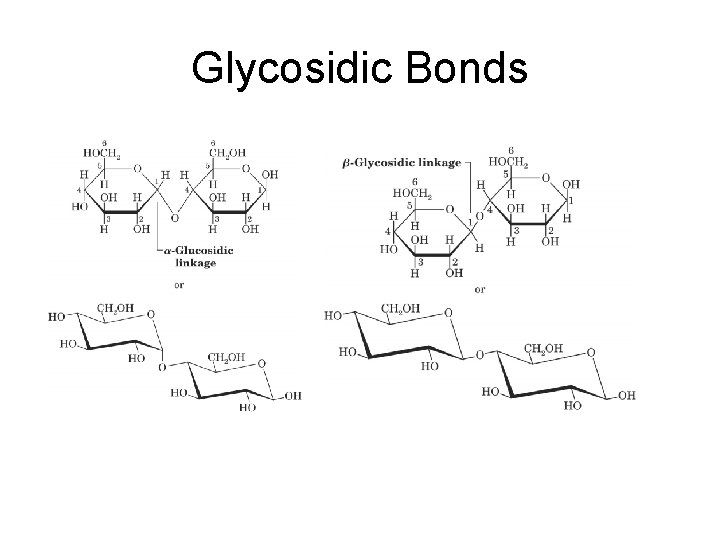 Glycosidic Bonds 
