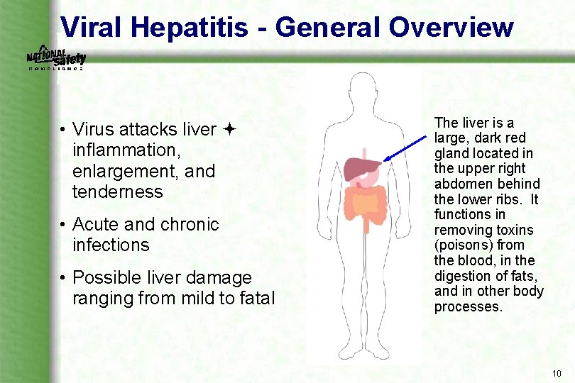 Viral Hepatitis - General Overview • Virus attacks liver inflammation, enlargement, and tenderness •