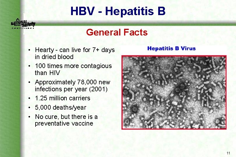 HBV - Hepatitis B General Facts • Hearty can live for 7+ days in